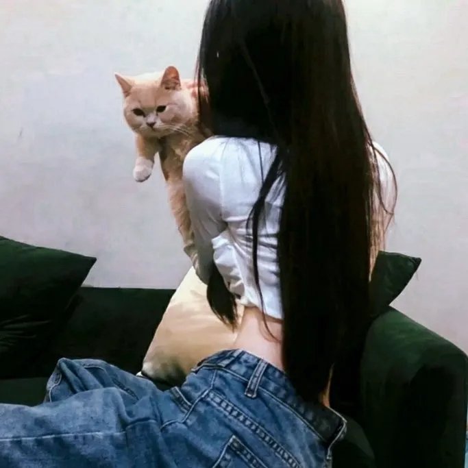 少年正义联盟第三季